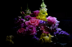 colors:flowers