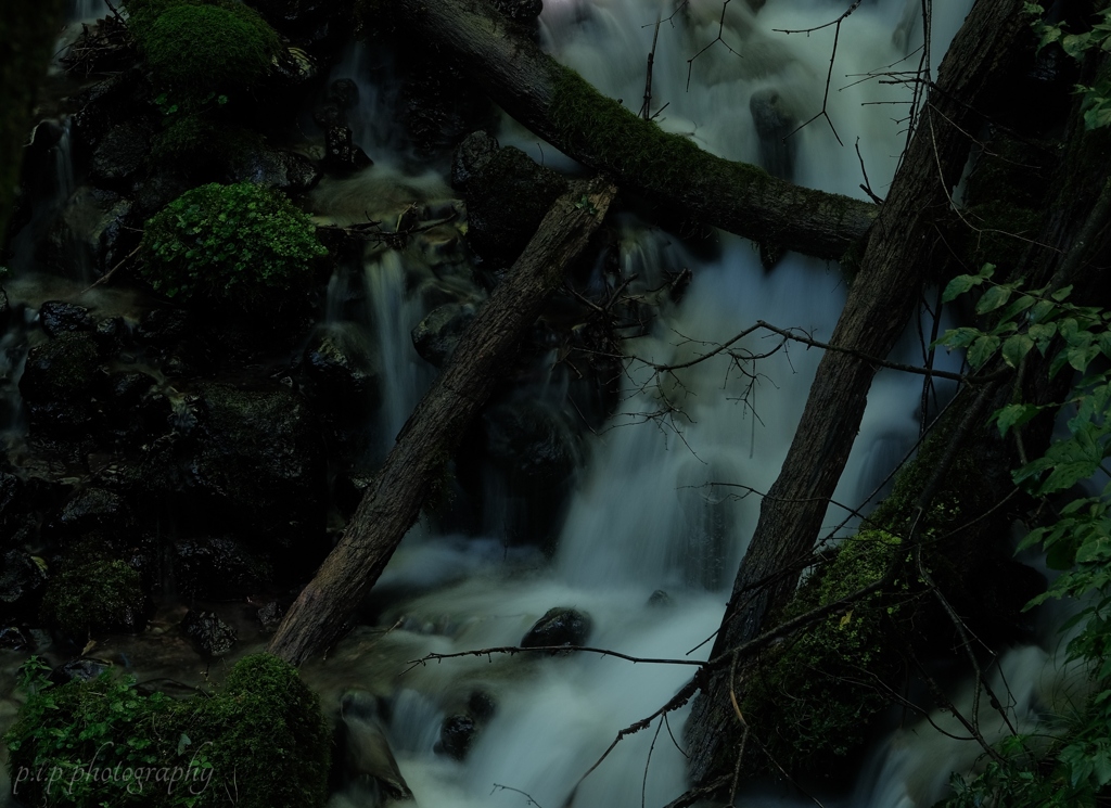 鳥居