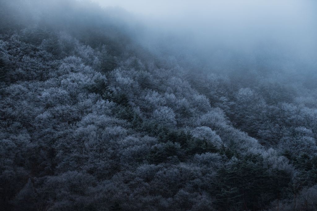 霧氷