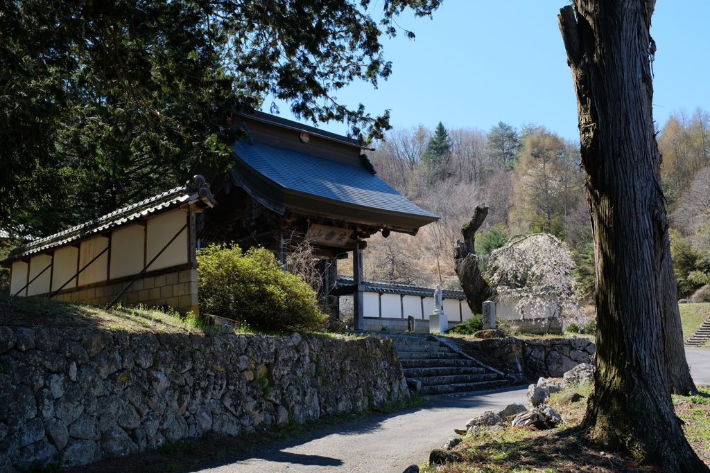 山寺の春