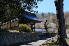 山寺の春