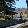 山寺の春