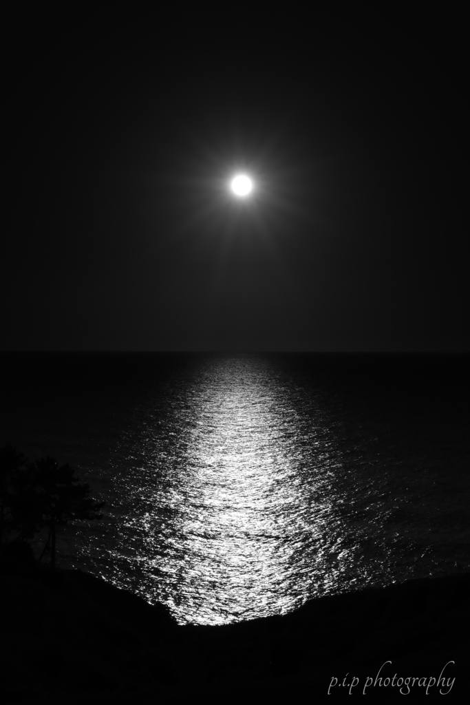 能登の海