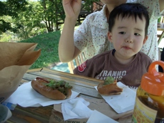 夏の思い出