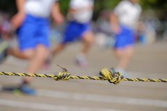 運動会