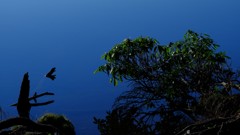 白駒池