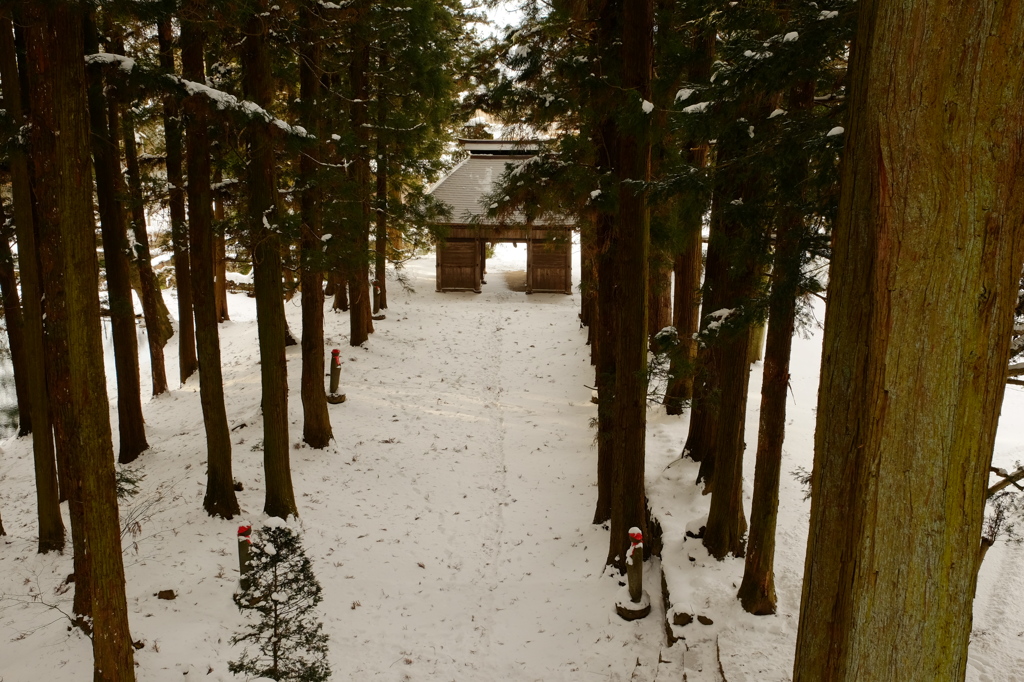 真楽寺　素朴な山門