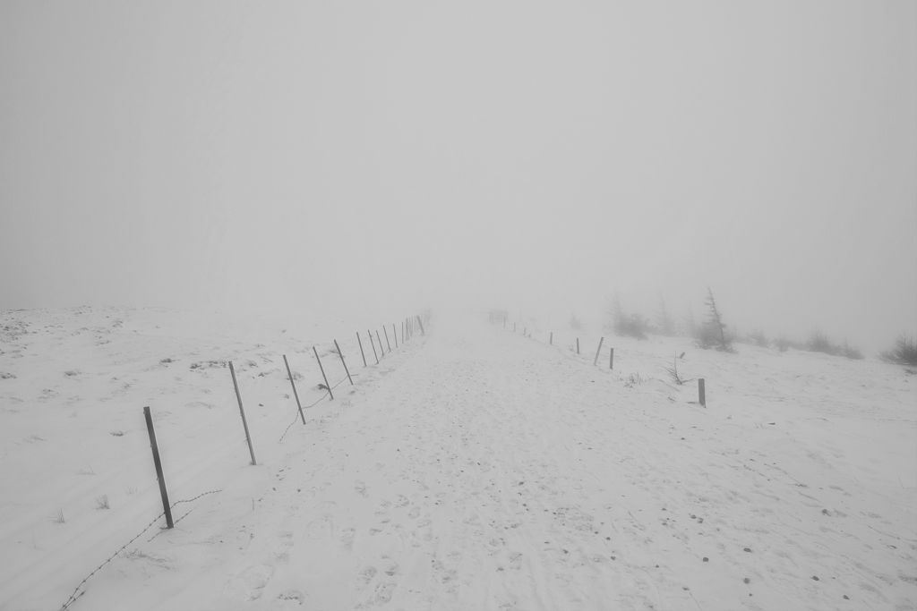 雪原