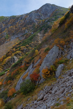 秋山