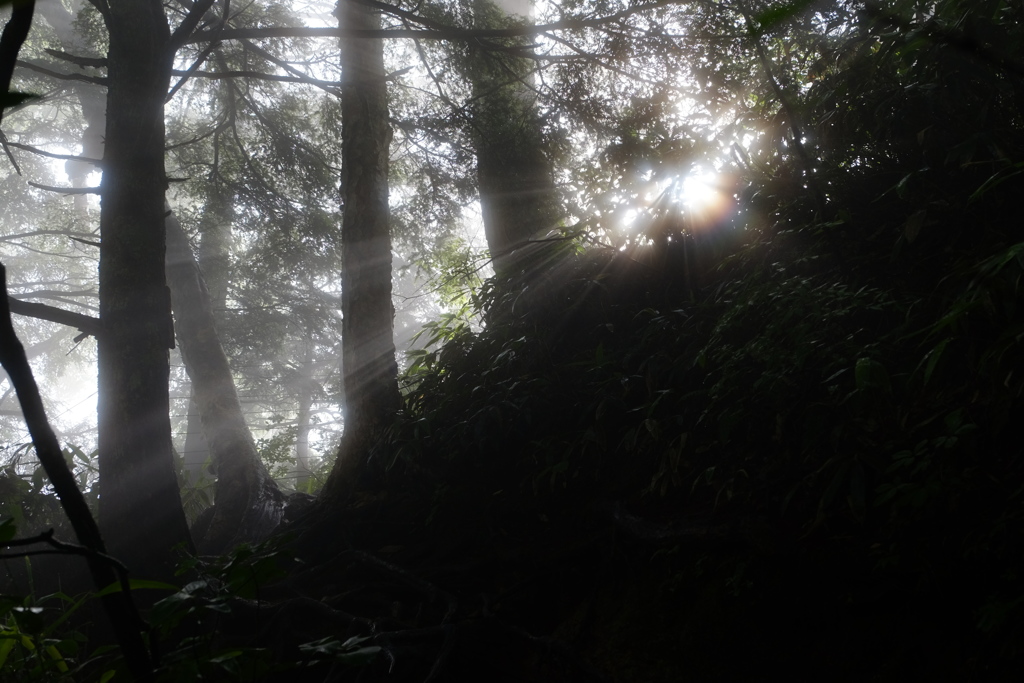 登山道にて