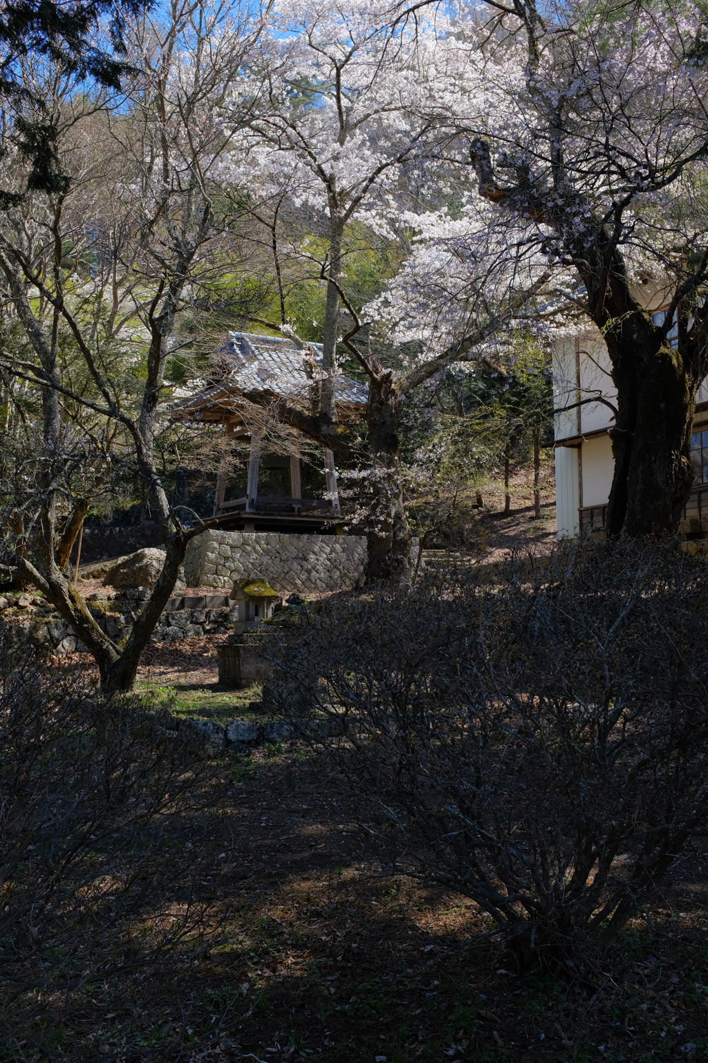 山寺の春