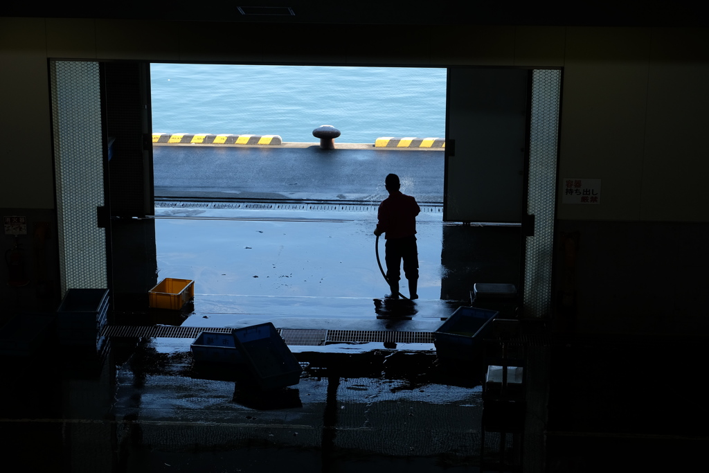 沼津魚市場卸売場にて