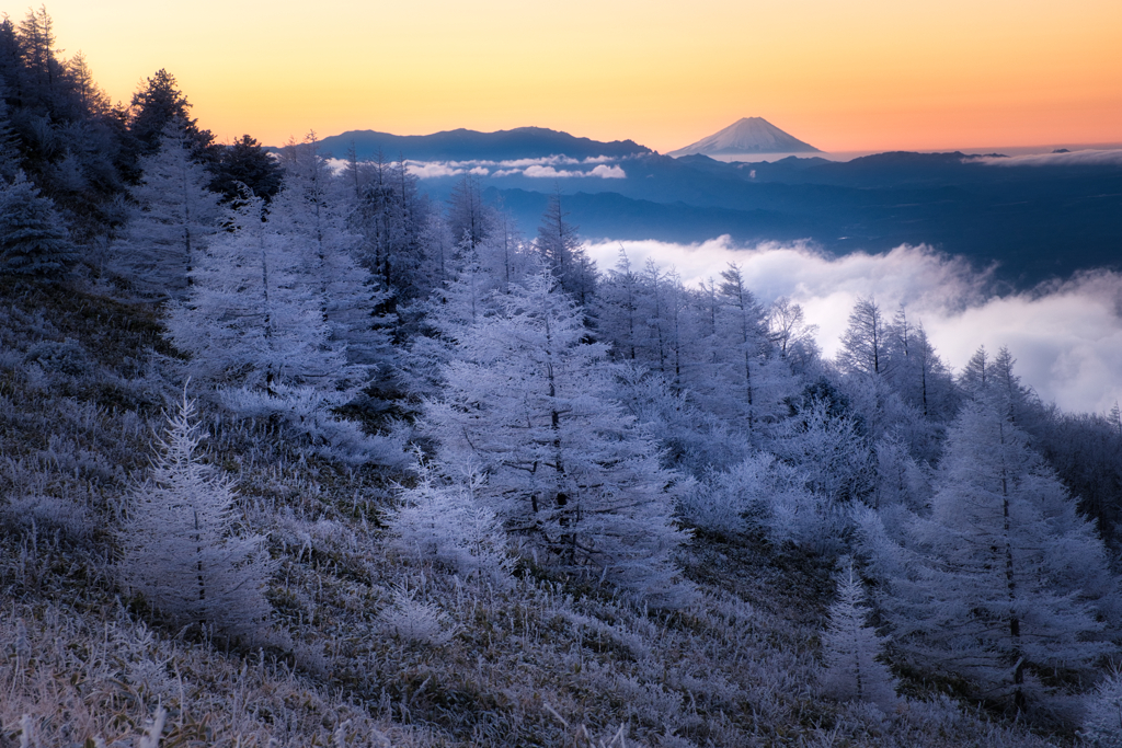 夜明け～富士遠景