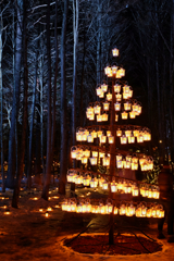 Candle Tree