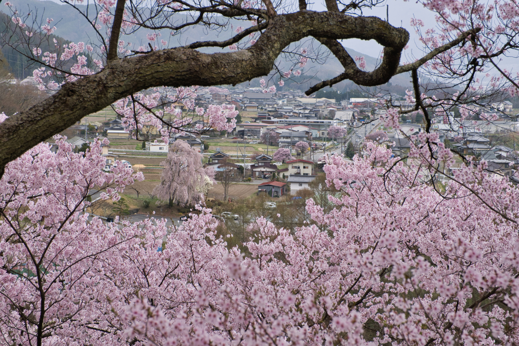 高遠の街
