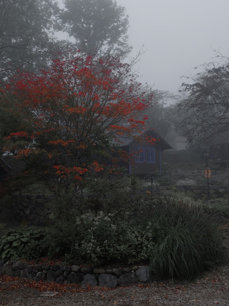 紅