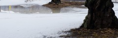 雪、緩む