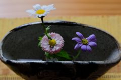 断片亭日乗