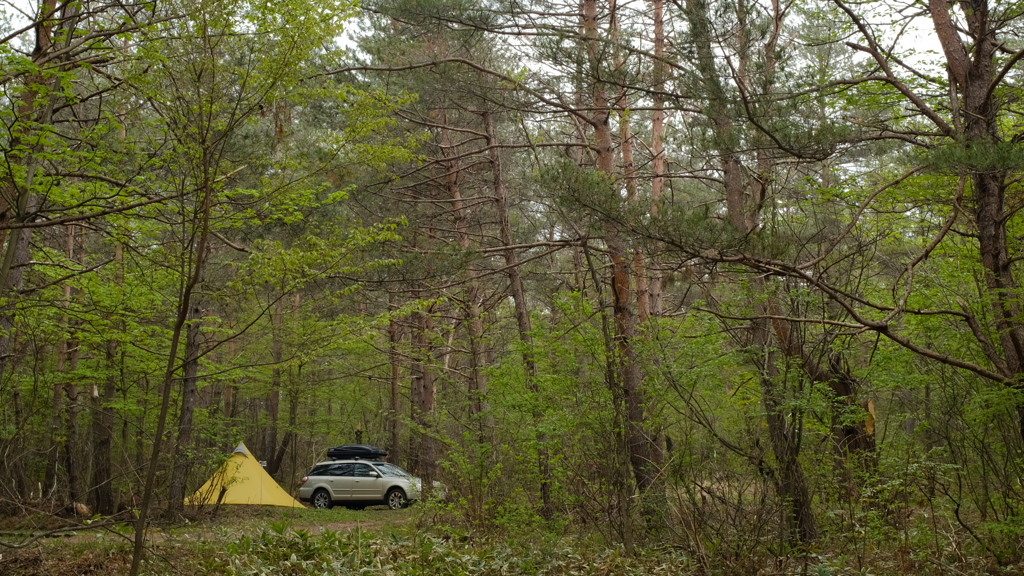 camp
