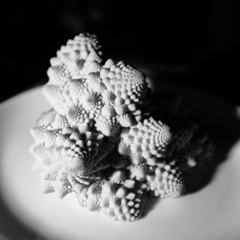 Broccolo Romanesco