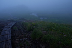 雲ノ平