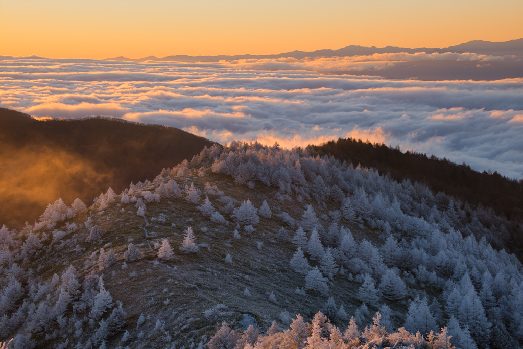 山の朝