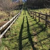 散歩道