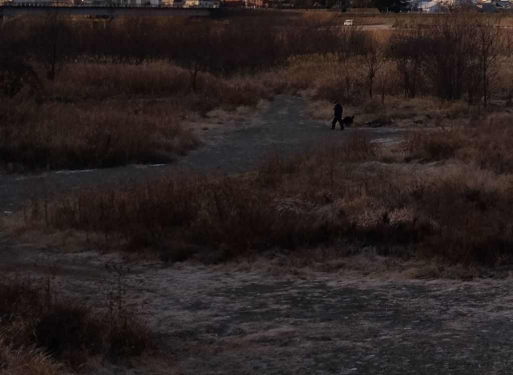 黒い犬と老人