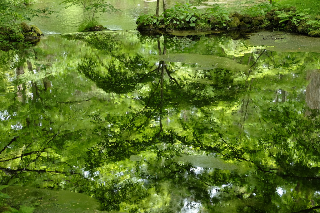 軽井沢ポタリング～雲場池