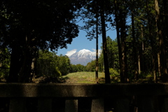 遥拝所から富士山を臨む～山宮浅間神社