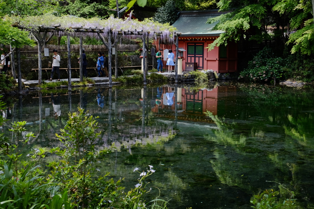 湧玉池