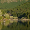 静かな湖畔