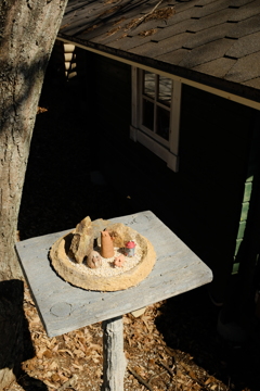 A Little Rock Garden