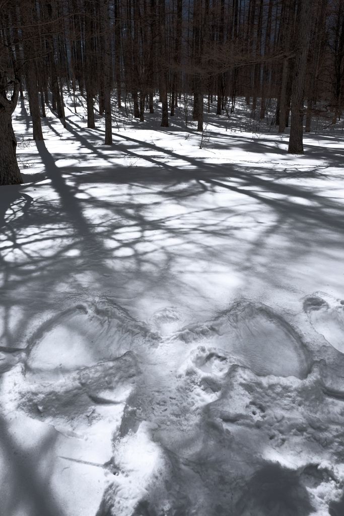 Snow Angel