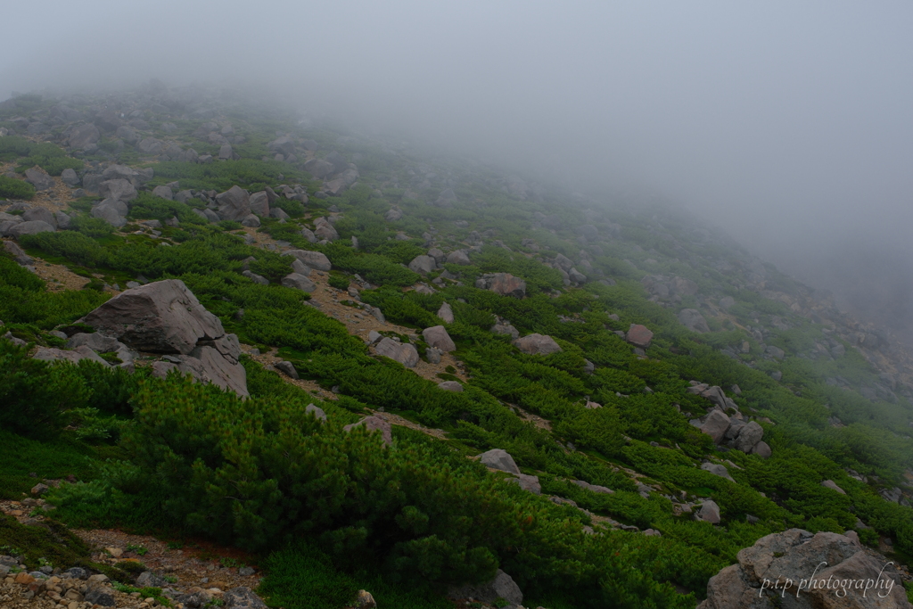 雌阿寒岳登山