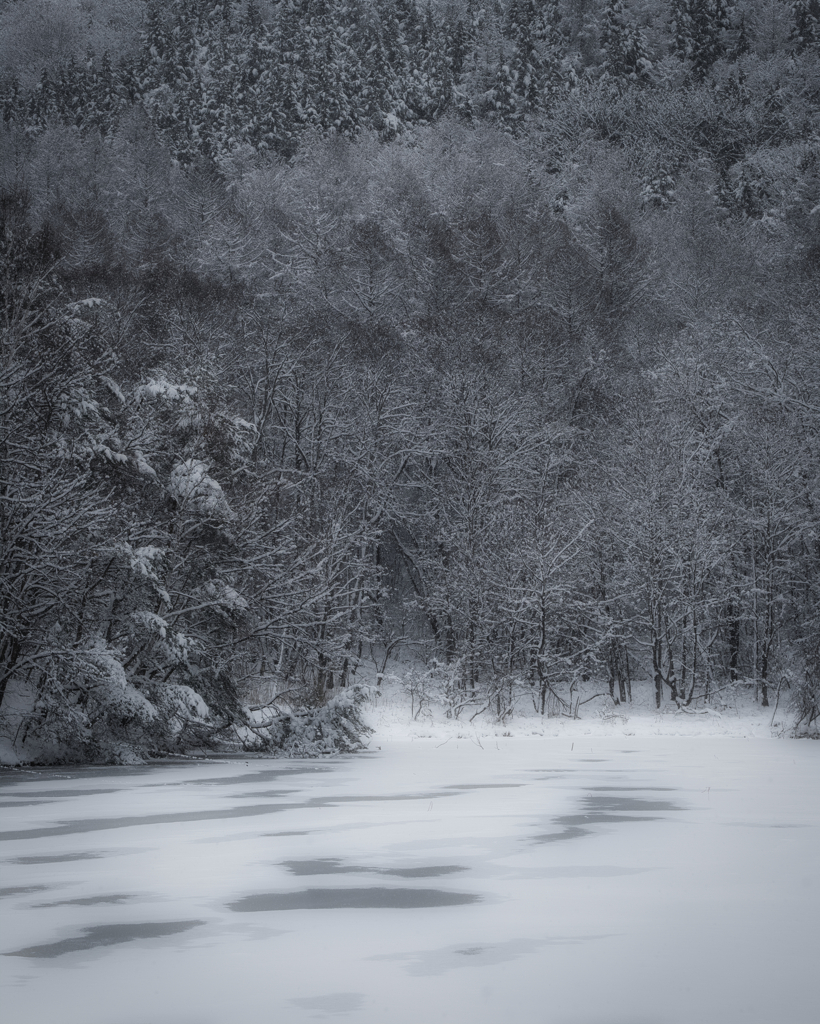 雪景色