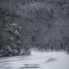 雪景色
