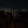 starry forest