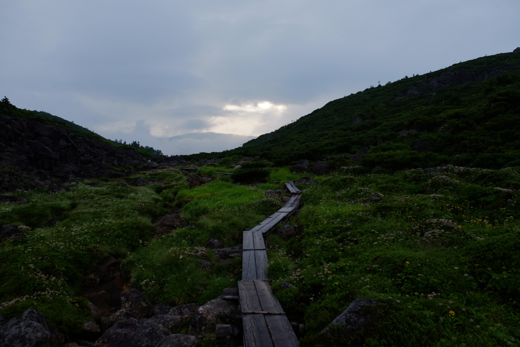 雲ノ平～花畑の夕景