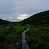 雲ノ平～花畑の夕景