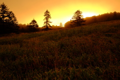 燃える麦草峠