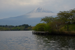 キャンプ場から見る富士山