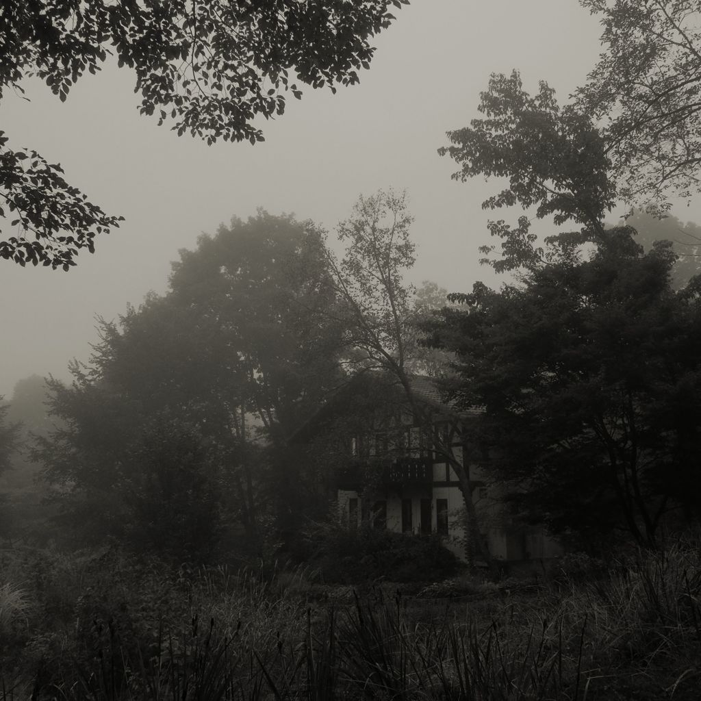 a quiet place