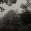 a quiet place