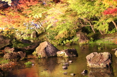 三重県なばなの里イルミネーション