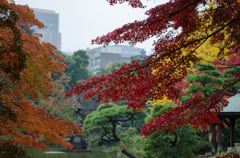 日比谷の秋 2