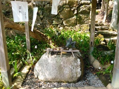 神野寺 （奈良県山添村）