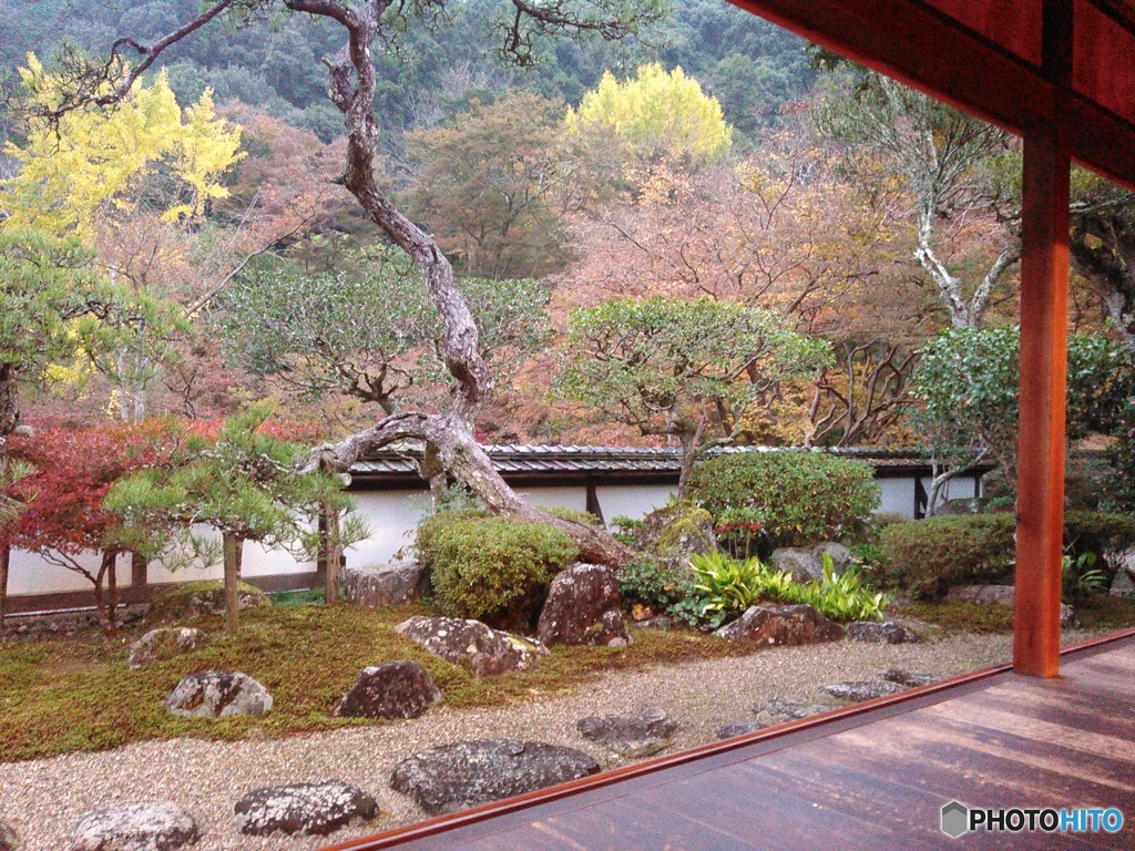 奈良・正暦寺 紅葉（その2）