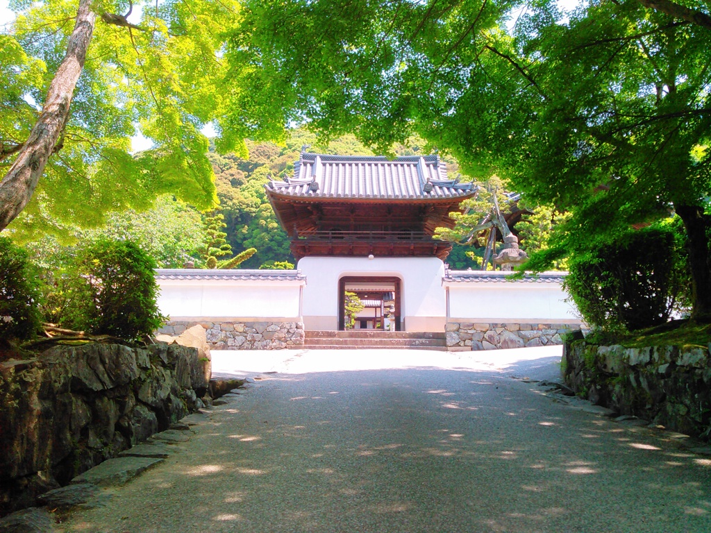 琴坂からみた興聖寺