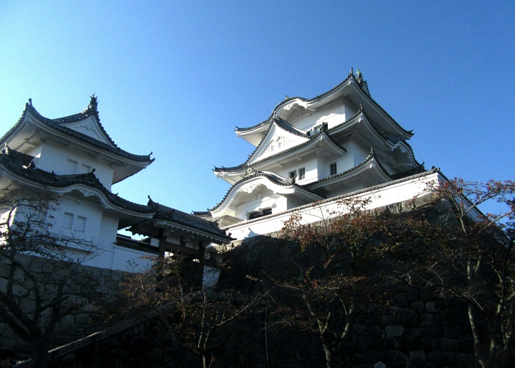 伊賀上野城 (三重)